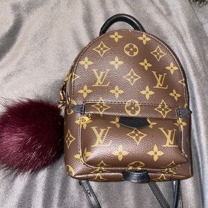 Louis Vuitton Palm Springs Mini